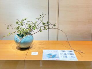 高田焼 竜元窯 江上晋